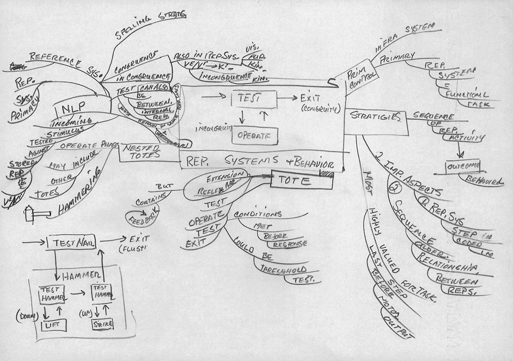 Untitled (Rep. Systems + Behavior) 1992